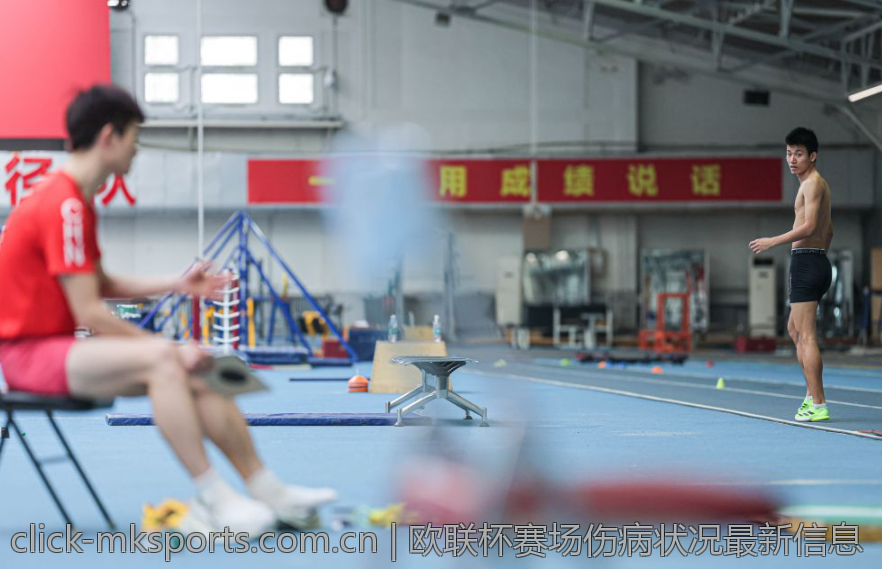 欧联杯赛场伤病状况最新信息
