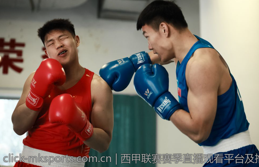 西甲联赛赛季直播观看平台及推荐指南