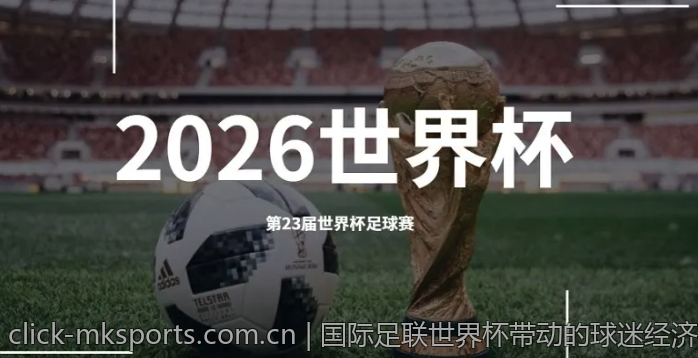 国际足联世界杯带动的球迷经济探讨