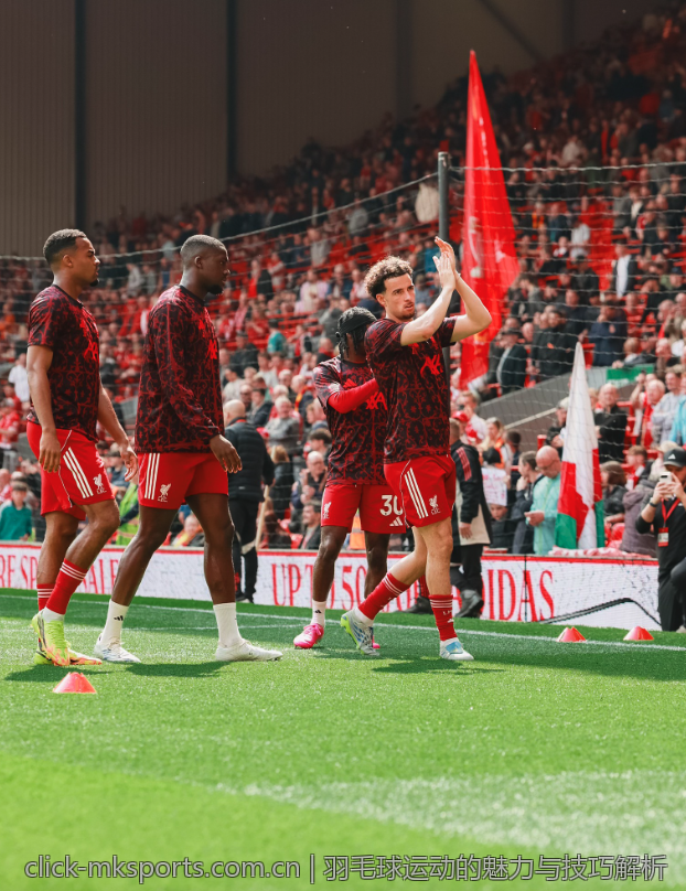 羽毛球运动的魅力与技巧解析